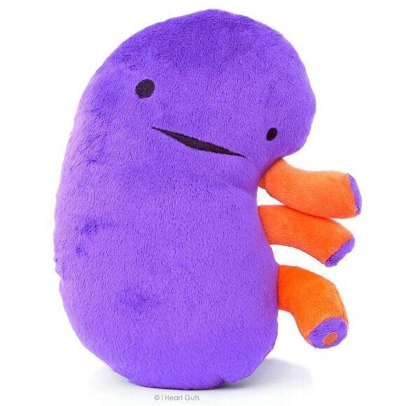 I Heart Guts Kidney Plush - When Urine Love! - 9” Educational Organ Stuffed Toy - Picture 1 of 13
